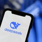 deekseek