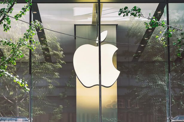 apple_india