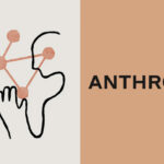Apple and Anthropic Are Teaming Up to Build an AI-Powered Coding Platform